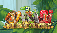 Игровой автомат Wild Turkey от Максбетслотс - онлайн казино Maxbetslots